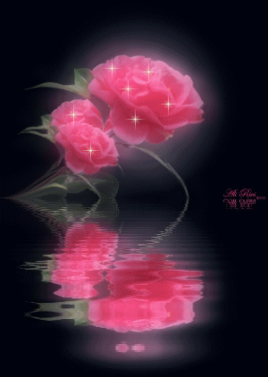 rosa ROSA Rosa rose ROSE Rose bocciolo BOCCIOLO Bocciolo boccioli BOCCIOLI Boccioli fiore FIORE Fiore fiori FIORI Fiori piante PIANTE Piante pianta PIANTA Pianta gif animate GIF ANIMATE Gif Animate