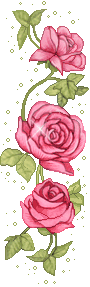 rosa ROSA Rosa rose ROSE Rose bocciolo BOCCIOLO Bocciolo boccioli BOCCIOLI Boccioli fiore FIORE Fiore fiori FIORI Fiori piante PIANTE Piante pianta PIANTA Pianta gif animate GIF ANIMATE Gif Animate