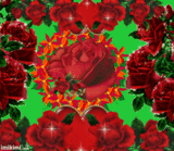 rosa ROSA Rosa rose ROSE Rose bocciolo BOCCIOLO Bocciolo boccioli BOCCIOLI Boccioli fiore FIORE Fiore fiori FIORI Fiori piante PIANTE Piante pianta PIANTA Pianta gif animate GIF ANIMATE Gif Animate