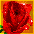 rosa ROSA Rosa rose ROSE Rose bocciolo BOCCIOLO Bocciolo boccioli BOCCIOLI Boccioli fiore FIORE Fiore fiori FIORI Fiori piante PIANTE Piante pianta PIANTA Pianta gif animate GIF ANIMATE Gif Animate