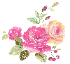 rosa ROSA Rosa rose ROSE Rose bocciolo BOCCIOLO Bocciolo boccioli BOCCIOLI Boccioli fiore FIORE Fiore fiori FIORI Fiori piante PIANTE Piante pianta PIANTA Pianta gif animate GIF ANIMATE Gif Animate