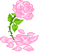 rosa ROSA Rosa rose ROSE Rose bocciolo BOCCIOLO Bocciolo boccioli BOCCIOLI Boccioli fiore FIORE Fiore fiori FIORI Fiori piante PIANTE Piante pianta PIANTA Pianta gif animate GIF ANIMATE Gif Animate