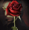 rosa ROSA Rosa rose ROSE Rose bocciolo BOCCIOLO Bocciolo boccioli BOCCIOLI Boccioli fiore FIORE Fiore fiori FIORI Fiori piante PIANTE Piante pianta PIANTA Pianta gif animate GIF ANIMATE Gif Animate