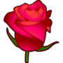 rosa ROSA Rosa rose ROSE Rose bocciolo BOCCIOLO Bocciolo boccioli BOCCIOLI Boccioli fiore FIORE Fiore fiori FIORI Fiori piante PIANTE Piante pianta PIANTA Pianta gif animate GIF ANIMATE Gif Animate