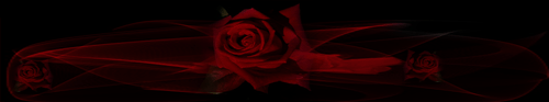 rosa ROSA Rosa rose ROSE Rose bocciolo BOCCIOLO Bocciolo boccioli BOCCIOLI Boccioli fiore FIORE Fiore fiori FIORI Fiori piante PIANTE Piante pianta PIANTA Pianta gif animate GIF ANIMATE Gif Animate